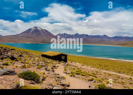 Laghi Lagunas Altiplanicas Miscanti y Minques nel deserto di Atacama in Cile. Altopiano di Altiplano e distese saline del paesaggio del Sud America. Laghi Salar Foto Stock