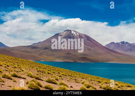 Laghi Lagunas Altiplanicas Miscanti y Minques nel deserto di Atacama in Cile. Altopiano di Altiplano e distese saline del paesaggio del Sud America. Laghi Salar Foto Stock