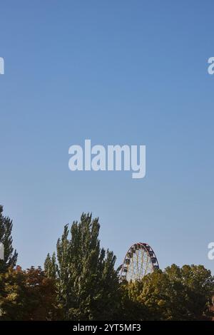 Ruota panoramica circondata da alberi verdi, parco divertimenti Panfilov, vista da Piazza Ala-Too. Cielo azzurro, Bishkek, Kirghizistan Foto Stock