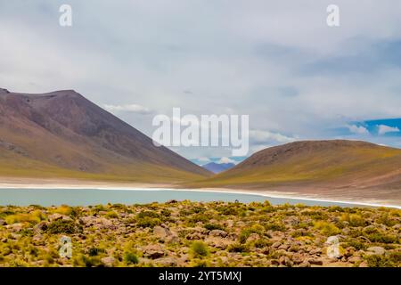 Laghi Lagunas Altiplanicas Miscanti y Minques nel deserto di Atacama in Cile. Altopiano di Altiplano e distese saline del paesaggio del Sud America. Laghi Salar Foto Stock