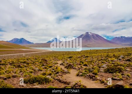 Laghi Lagunas Altiplanicas Miscanti y Minques nel deserto di Atacama in Cile. Altopiano di Altiplano e distese saline del paesaggio del Sud America. Laghi Salar Foto Stock