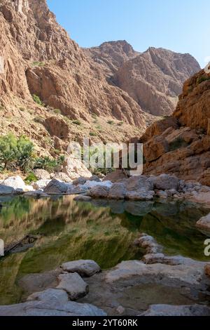 Foto dell'oasi di Wadi Tiwi in Oman. Foto Stock