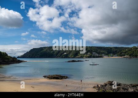 Autunno a South Hams, con un cane che viene camminato sulla spiaggia di Sunny Cove con la bassa marea, North Sands e Overbecks in vista sullo sfondo Foto Stock
