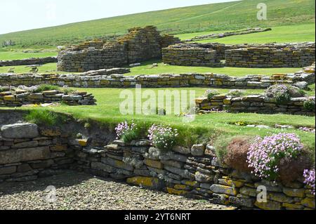 Rovine del villaggio norreno su Brough di Birsay, Orcadi, Scotland June Foto Stock