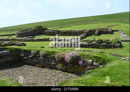 Rovine del villaggio norreno su Brough di Birsay, Orcadi, Scotland June Foto Stock