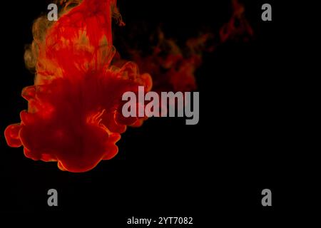 Goccia di colorante rossa che gira in acqua con retroilluminazione su sfondo nero Foto Stock