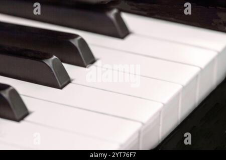 Una fotografia dettagliata e ravvicinata dei tasti del pianoforte che evidenzia l'elegante contrasto tra bianco e nero. Perfetto per rappresentare musica e creatività. Foto Stock