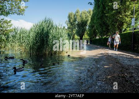 Italia, Manerba del Garda (Brescia), 26 giugno 2024 : cambiamenti climatici, nella foto acqua alta del Lago di Garda foto © Matteo Biatta/sintesi/Alamy Stock Photo Foto Stock