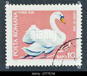 Francobollo stampato dalla Romania, che mostra Mute Swan (Cygnus olor), fauna delle riserve naturali, circa 1968. Foto Stock