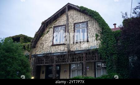 Vecchie case nel tradizionale quartiere di Cochrane nella città di Valdivia, nel sud del Cile Foto Stock