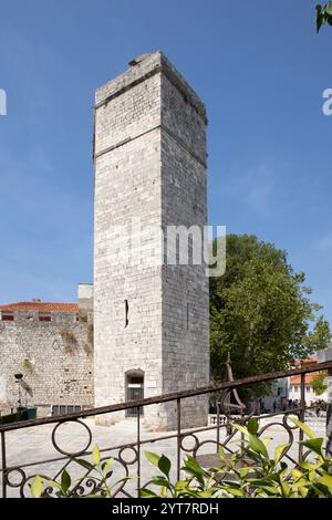 Piazza pubblica circondata da mura medievali della città con 5 magnifiche fontane in pietra del XVI secolo. Piazza delle cinque fontane Adriatico, Zara, Dalmazia, Croazia Foto Stock