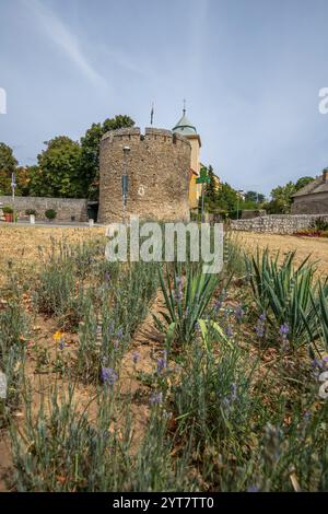 Vecchi edifici splendidamente decorati in una città vecchia storica. Foto dal centro della città di cinque chiese, Pecs, del-Dunantul, Ungheria Foto Stock
