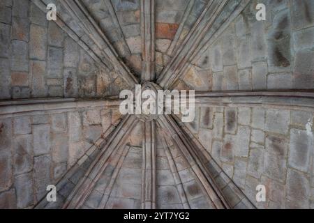 Volta a coste a otto costole, Monastero di Santa María de Carracedo, X secolo, Carracedo del Monasterio, regione di El Bierzo, Castiglia e León, Spagna Foto Stock