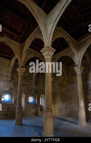 Volta centrale della cucina della regina, Monastero di Santa María de Carracedo, X secolo, Carracedo del Monasterio, regione di El Bierzo, Castiglia e Leone Foto Stock