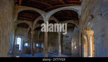 Volta centrale della cucina della regina, Monastero di Santa María de Carracedo, X secolo, Carracedo del Monasterio, regione di El Bierzo, Castiglia e Leone Foto Stock