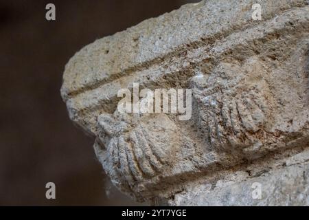 Conchiglie di Santiago che decorano il camino, la cucina della regina, Monastero di Santa María de Carracedo, X secolo, Carracedo del Monasterio, El Bierzo Re Foto Stock