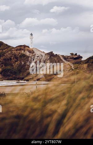 Il faro di Castlepoint sull'Isola del Nord della nuova Zelanda sorge su un'ampia spiaggia sabbiosa tra le rocce. La torre bianca è il punto di riferimento della piccola città sulla costa orientale. Foto Stock