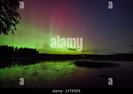 Europa, Finlandia, autunno, lago, aurora boreale, Aurora Boreale Foto Stock