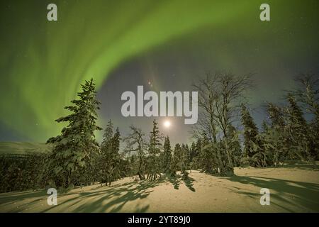 Europa, Finlandia, Inverno, Lapponia, paesaggio, aurora boreale Foto Stock