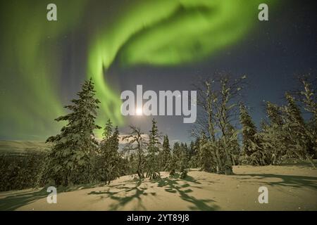 Europa, Finlandia, Inverno, Lapponia, paesaggio, aurora boreale Foto Stock