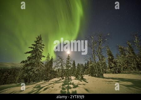 Europa, Finlandia, Inverno, Lapponia, paesaggio, aurora boreale Foto Stock