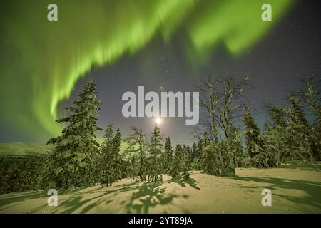 Europa, Finlandia, Inverno, Lapponia, paesaggio, aurora boreale Foto Stock