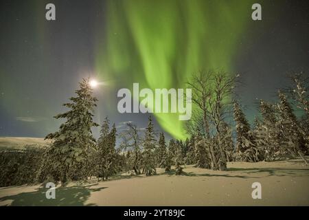 Europa, Finlandia, Inverno, Lapponia, paesaggio, aurora boreale Foto Stock