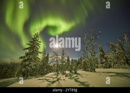 Europa, Finlandia, Inverno, Lapponia, paesaggio, aurora boreale Foto Stock