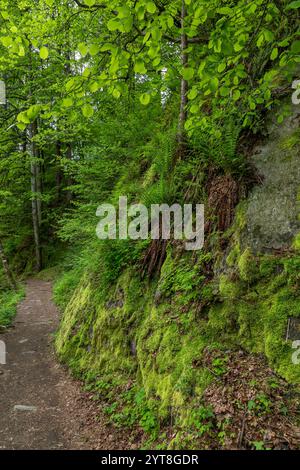 Passa il sentiero Gola nella Val Passiria vicino a Moos, alto Adige Foto Stock