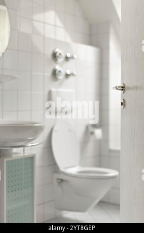 Bagno, WC, interni, dettagli Foto Stock