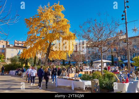Bancarelle del mercato BRIC-a-brac e un albero di Ginkgo dorato durante il sole invernale nella città vecchia di Antibes, in Francia. Foto Stock