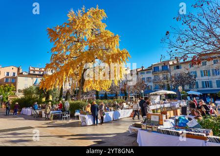 Bancarelle del mercato BRIC-a-brac e un albero di Ginkgo dorato durante il sole invernale nella città vecchia di Antibes, in Francia. Foto Stock
