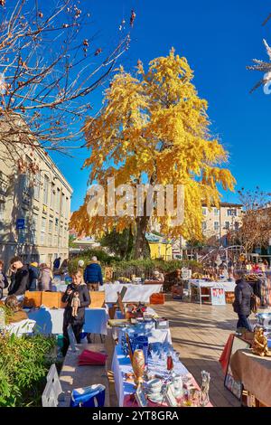 Bancarelle del mercato BRIC-a-brac e un albero di Ginkgo dorato durante il sole invernale nella città vecchia di Antibes, in Francia. Foto Stock