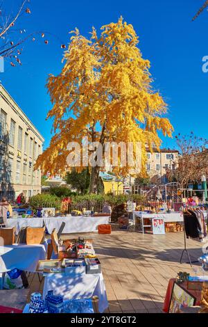 Bancarelle del mercato BRIC-a-brac e un albero di Ginkgo dorato durante il sole invernale nella città vecchia di Antibes, in Francia. Foto Stock