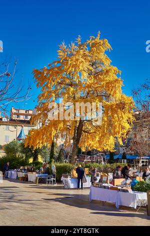 Bancarelle del mercato BRIC-a-brac e un albero di Ginkgo dorato durante il sole invernale nella città vecchia di Antibes, in Francia. Foto Stock