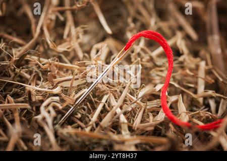 Grande ago indurente con filettatura rossa nel pagliaio Foto Stock