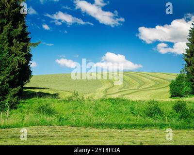 Vista del paesaggio con prato collinare appena tagliato nel Allgäu con alberi ai lati del quadro davanti a un cielo blu con nuvole bianche. Foto Stock