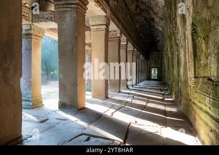 Rovine del complesso del tempio di Ta Prohm, vicino al complesso di Angkor Wat, Siem Reap, Cambogia Foto Stock