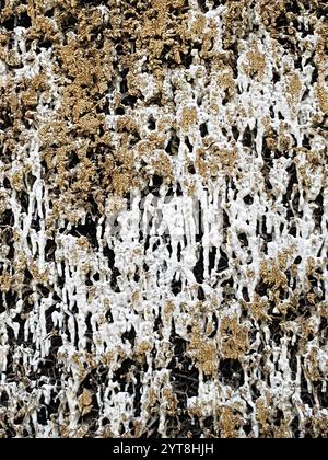 Crosta salata sui fasci di legno di una torre di graduazione. La struttura salina si crea quando la salamoia si allunga sopra la parete di brushwood di spina nera. Ciò aumenta il contenuto di sale del liquido. Allo stesso tempo, si forma un microclima benefico nell'area circostante la casa di laurea, che viene utilizzata per scopi terapeutici. Foto Stock