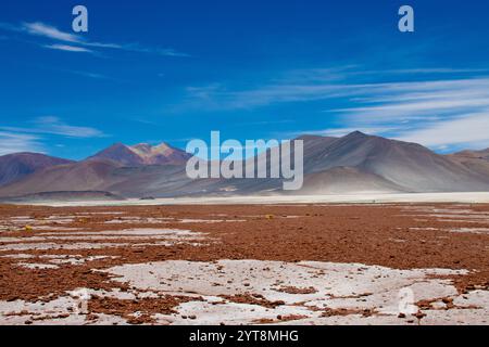 Piedras Rojas, deserto di Atacama, Cile. Paesaggi mozzafiato con colori vivaci. Foto Stock