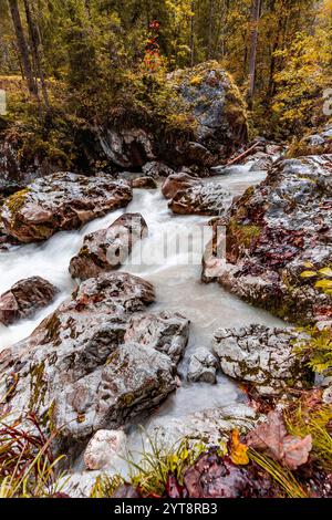 Autunno sul Ramsauer Ache nella foresta incantata vicino a Ramsau nella Terra di Berchtesgadener, Baviera, Germania. Foto Stock