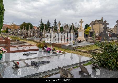 Impressioni al cimitero di Verdun, una grande città nel dipartimento della Mosa nel Grand Est, nel nord-est della Francia. È noto per aver dato il nome a una grande battaglia della prima guerra mondiale. Foto Stock