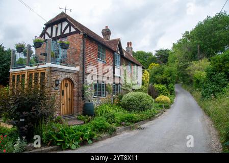 Case storiche a West Dean, East Sussex, Engeland Foto Stock