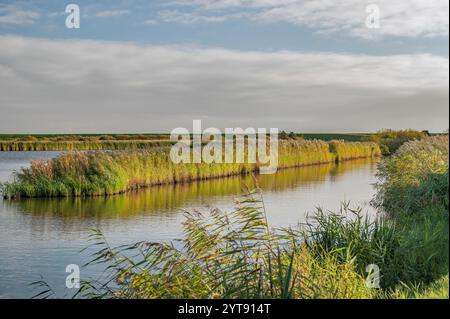 Zona letto ribassato nell'area della banca Foto Stock