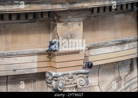 su un parapetto Foto Stock