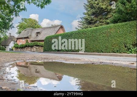 Riflesso nella pozzanghera della pioggia Foto Stock