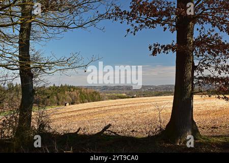 Vista da Thulbach, quartiere di Freising, attraverso la valle dell'Isar fino al castello di Kronwinkl Foto Stock