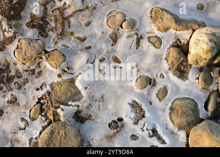Ciottoli nel ghiaccio Foto Stock