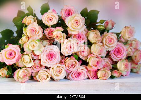 Molte rose gara su un bianco tavolo in legno per la festa della mamma Foto Stock