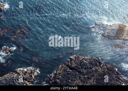 Volo panoramico su Tofino, Isola di Vancouver. Canada Foto Stock